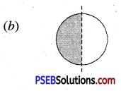 PSEB 4th Class Maths Solutions Chapter 10 ਨਮੂਨੇ Ex 10.1 39