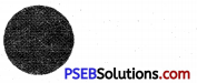 PSEB 4th Class Maths Solutions Chapter 8 ਪਰਿਮਾਪ ਅਤੇ ਖੇਤਰਫ਼ਲ Ex 8.3 8