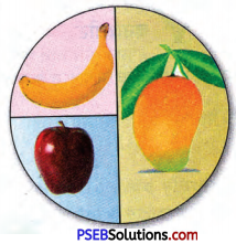 PSEB 4th Class Maths Solutions Chapter 9 ਅੰਕੜਾ ਵਿਗਿਆਨ Worksheet 2
