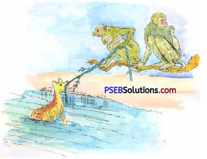 PSEB 5th Class Hindi Solutions Chapter 7 बुराई नहीं, भलाई 2