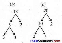 PSEB 5th Class Maths Solutions Chapter 3 ਮਹੱਤਮ ਸਮਾਪਵਰਤਕ ਅਤੇ ਲਘੂਤਮ ਸਮਾਪਵਰਤਯ Ex 3.1 6