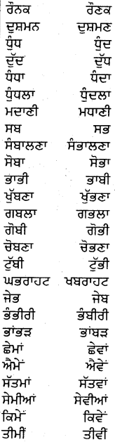 PSEB 5th Class Punjabi Grammar ਵਿਆਕਰਨ 13