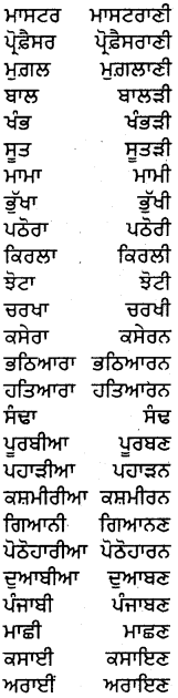 PSEB 5th Class Punjabi Grammar ਵਿਆਕਰਨ 19