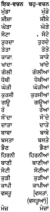 PSEB 5th Class Punjabi Grammar ਵਿਆਕਰਨ 23
