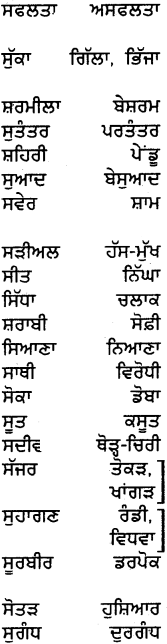 PSEB 5th Class Punjabi Grammar ਵਿਆਕਰਨ 29