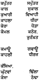 PSEB 5th Class Punjabi Grammar ਵਿਆਕਰਨ 32