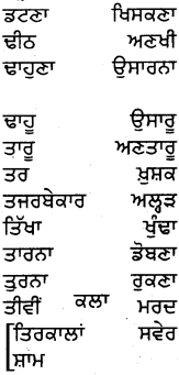 PSEB 5th Class Punjabi Grammar ਵਿਆਕਰਨ 36