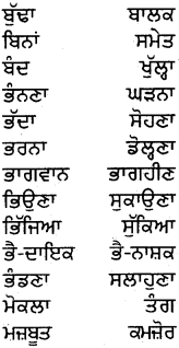 PSEB 5th Class Punjabi Grammar ਵਿਆਕਰਨ 41