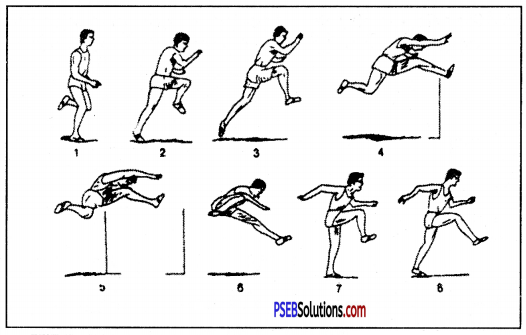 ऐथलैटिक्स (Athletics) Game Rules - PSEB 10th Class Physical Education 7