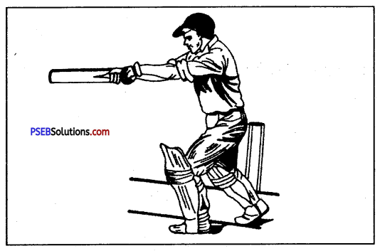 क्रिकेट (Cricket) Game Rules - PSEB 10th Class Physical Education 12