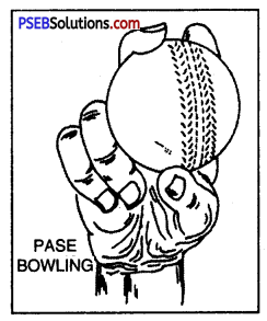 क्रिकेट (Cricket) Game Rules - PSEB 10th Class Physical Education 2