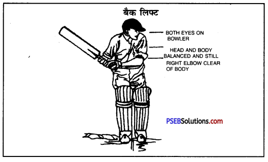 क्रिकेट (Cricket) Game Rules - PSEB 10th Class Physical Education 6