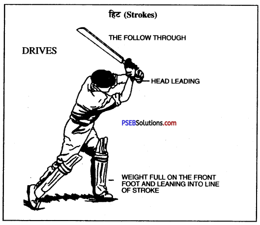 क्रिकेट (Cricket) Game Rules - PSEB 10th Class Physical Education 8