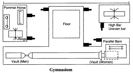 जिम्नास्टिक्स (Gymnastics) Game Rules - PSEB 10th Class Physical Education 8