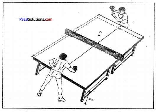 टेबल टेनिस (Table Tennis) Game Rules - PSEB 10th Class Physical Education 1