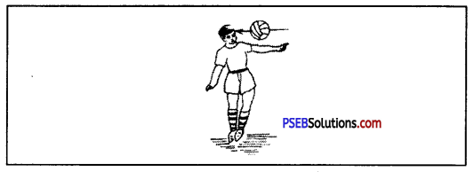 फुटबाल (Football) Game Rules - PSEB 10th Class Physical Education 13