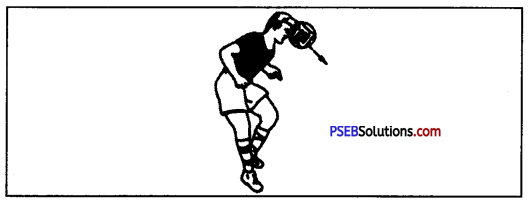फुटबाल (Football) Game Rules - PSEB 10th Class Physical Education 14