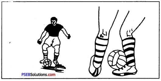 फुटबाल (Football) Game Rules - PSEB 10th Class Physical Education 5