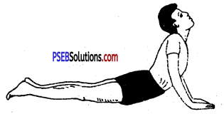 योग (Yoga) Game Rules - PSEB 10th Class Physical Education 2