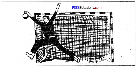 हैंडबाल (Handball) Game Rules - PSEB 10th Class Physical Education 7