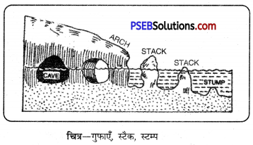 PSEB 11th Class Geography Solutions Chapter 3(v) समुद्र के अनावृत्तिकरण कार्य 3