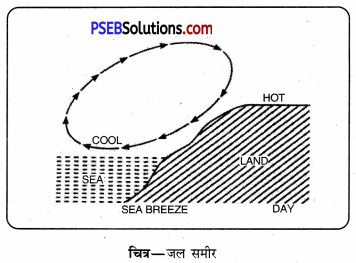 PSEB 11th Class Geography Solutions Chapter 7 पवनें 2