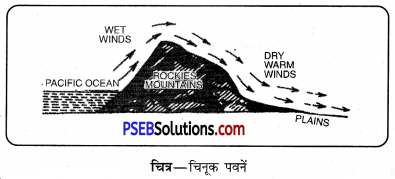 PSEB 11th Class Geography Solutions Chapter 7 पवनें 5