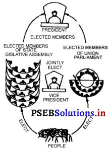 PSEB 11th Class Political Science Solutions Chapter 27 संघीय कार्यपालिका-राष्ट्रपति (1)