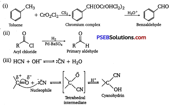 PSEB 12th Class Chemistry Important Questions Chapter 12 Aldehydes, Ketones and Carboxylic Acids 27