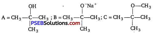 PSEB 12th Class Chemistry Important Questions Chapter 12 Aldehydes, Ketones and Carboxylic Acids 3