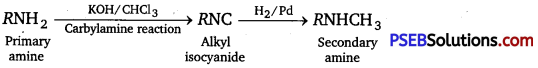 PSEB 12th Class Chemistry Important Questions Chapter 13 Amines 1