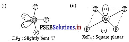 PSEB 12th Class Chemistry Important Questions Chapter 7 The p-Block Elements 8