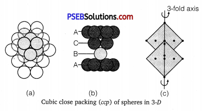 PSEB 12th Class Chemistry Solutions Chapter 1 The Solid State 3