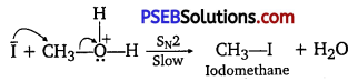 PSEB 12th Class Chemistry Solutions Chapter 11 Alcohols, Phenols and Ethers 59