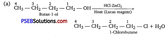 PSEB 12th Class Chemistry Solutions Chapter 11 Alcohols, Phenols and Ethers 79