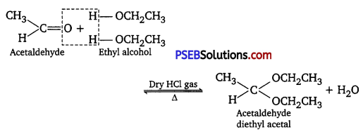 PSEB 12th Class Chemistry Solutions Chapter 12 Aldehydes, Ketones and Carboxylic Acids 2