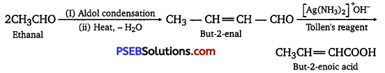 PSEB 12th Class Chemistry Solutions Chapter 12 Aldehydes, Ketones and Carboxylic Acids 23