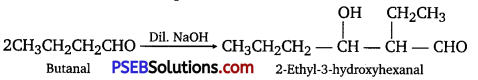 PSEB 12th Class Chemistry Solutions Chapter 12 Aldehydes, Ketones and Carboxylic Acids 25