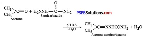 PSEB 12th Class Chemistry Solutions Chapter 12 Aldehydes, Ketones and Carboxylic Acids 3