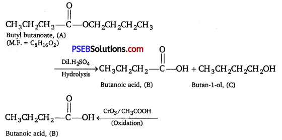 PSEB 12th Class Chemistry Solutions Chapter 12 Aldehydes, Ketones and Carboxylic Acids 30