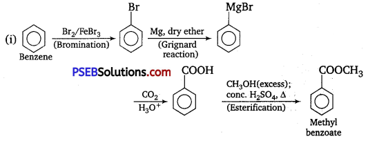 PSEB 12th Class Chemistry Solutions Chapter 12 Aldehydes, Ketones and Carboxylic Acids 40