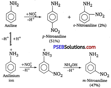 PSEB 12th Class Chemistry Solutions Chapter 13 Amines 10