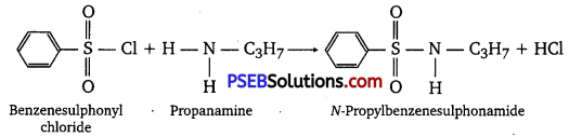 PSEB 12th Class Chemistry Solutions Chapter 13 Amines 17