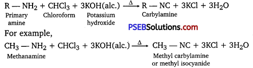 PSEB 12th Class Chemistry Solutions Chapter 13 Amines 19