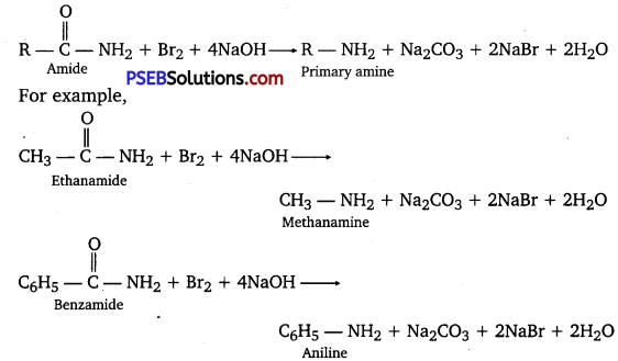 PSEB 12th Class Chemistry Solutions Chapter 13 Amines 21
