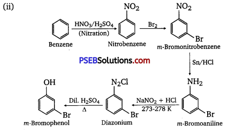 PSEB 12th Class Chemistry Solutions Chapter 13 Amines 29