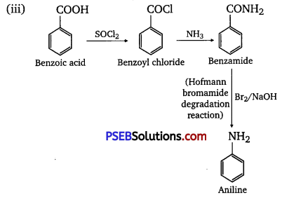PSEB 12th Class Chemistry Solutions Chapter 13 Amines 30