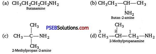 PSEB 12th Class Chemistry Solutions Chapter 13 Amines 56