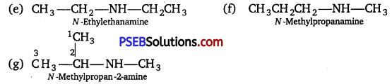 PSEB 12th Class Chemistry Solutions Chapter 13 Amines 57