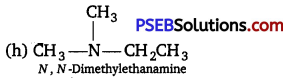 PSEB 12th Class Chemistry Solutions Chapter 13 Amines 58